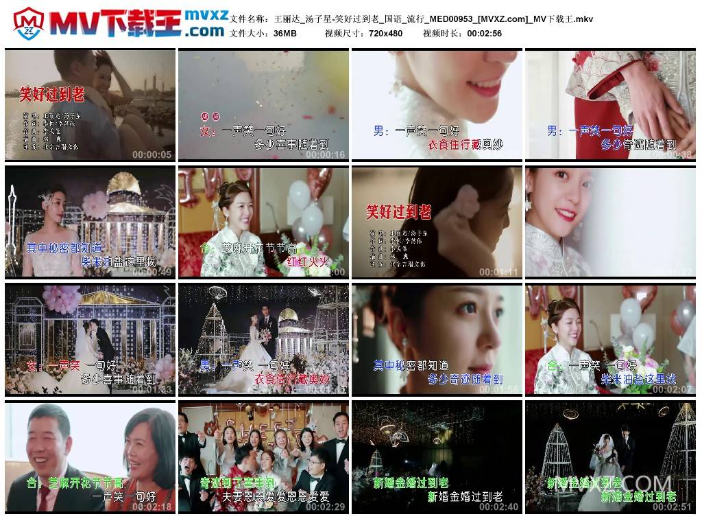 王丽达_汤子星-笑好过到老_国语_流行_MED00953